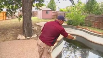 Grand Prairie Preps Plan of Attack Against West Nile Virus
