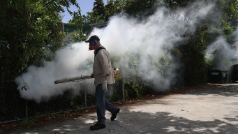 Texas Seeks Federal Funds to Fight Zika Virus