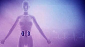 Learn About Kidney Disease