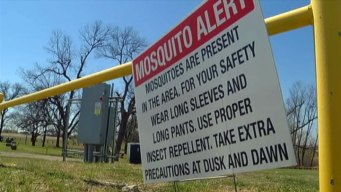 Little Elm Prepares to Fight West Nile