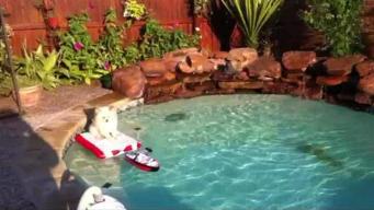 Viewer Video: Radar Cruising the Pool