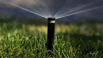 Dallas to Weigh Water Restrictions
