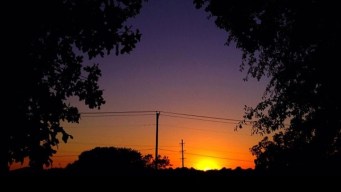 Week of April 29