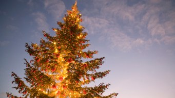 Saying "Merry Christmas" Legal in TX Schools