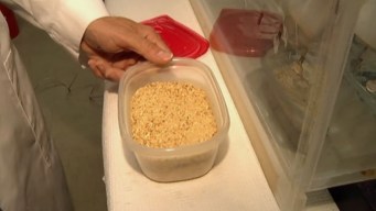 Arlington Researcher Tackles Lead Cleanup