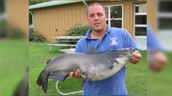 Angler, Wooly Bugger Snares Record Texas Catfish