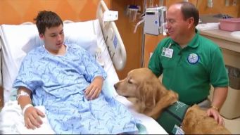 Caring Canines Help Patients in Plano