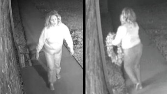 Christmas Grinch Caught on Video