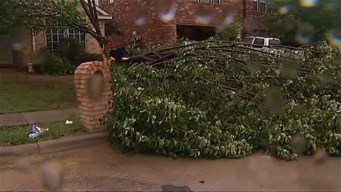 Storm Knocks Down Trees, Power Lines in McKinney