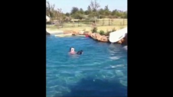 Viewer Video: Trixie Loves Swimming