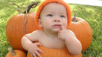 Your Fall Photos 2011