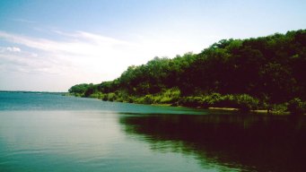 Blue-Green Algae Closes Some Texoma Beaches