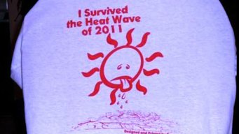 Man Hawks Heat Wave 2011 T-Shirt