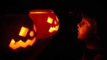 Drought Dwindles Texas Pumpkin Supply