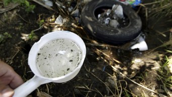 Fort Worth's West Nile Virus Prevention in Full Swing