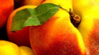 Things Are Just Peachy in Parker County