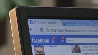 Stock Show Finds Success Through Social Media