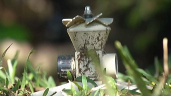 Thousands Not Following FW Water Restrictions