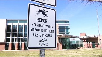 Irving Prepares for Busy Mosquito Season