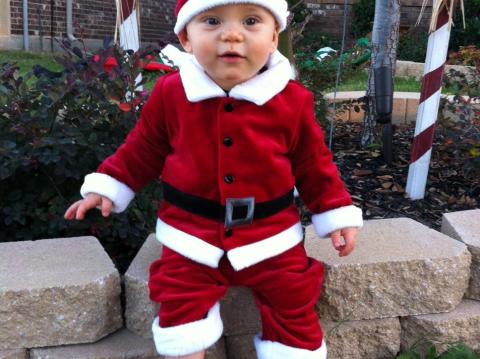 Your Holiday Photos 2012 - Gallery I