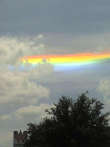Circumhorizon Arc Over North Texas