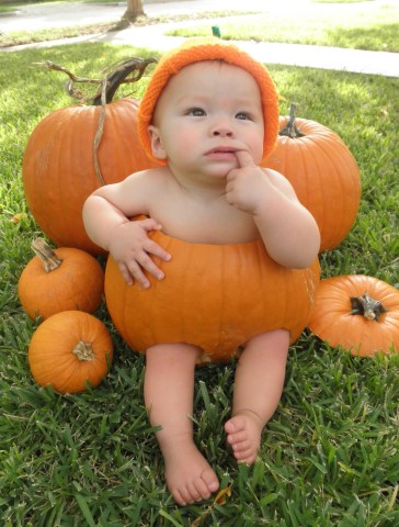 Your Fall Photos 2011 - Gallery V