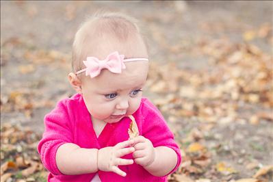 Your Fall Photos 2012 - Gallery IV