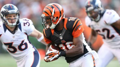Wider Field Could Prevent Collisions: Hawkins