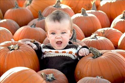 Your Fall Photos 2012 - Gallery II