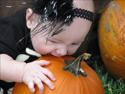 Your Fall Photos 2012 - Gallery I