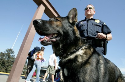 Cops from around the state will show off their champion perp-chasers in Petaluma today.