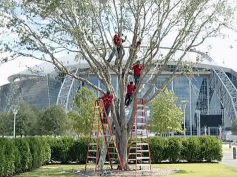 Christmas Dallas Cowboys Style