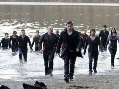 The Best Battle Scenes of "Breaking Dawn" Might Be on the Brazil Set