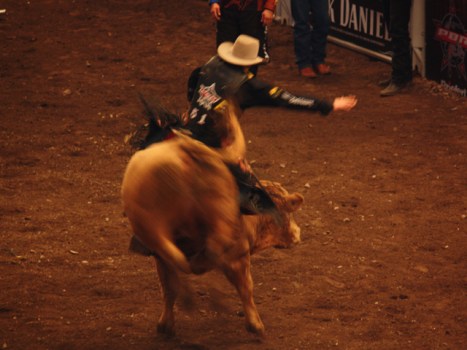 No Bull, Cowboys Stadium Gets a Rodeo