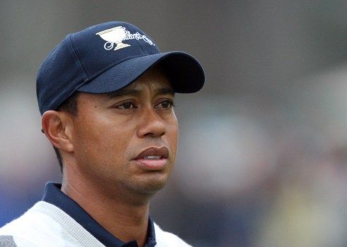 A Tiger At Valley Ranch