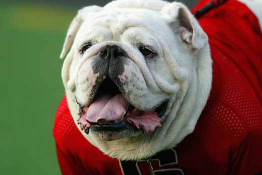 It's Official: Grantham Departing D-Town For Georgia
