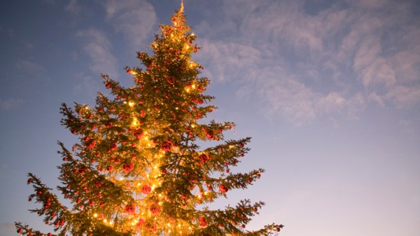 Saying "Merry Christmas" Legal in TX Schools