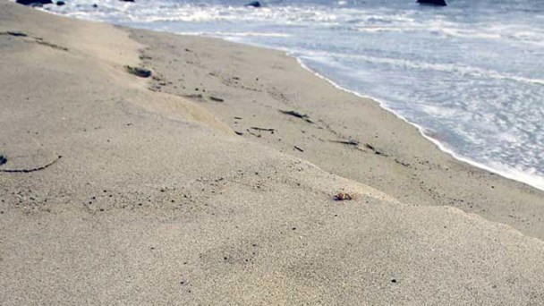 Legislature Amends Texas Open Beaches