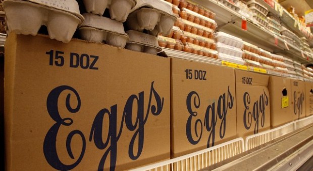 Buy One Get One Free EGGS