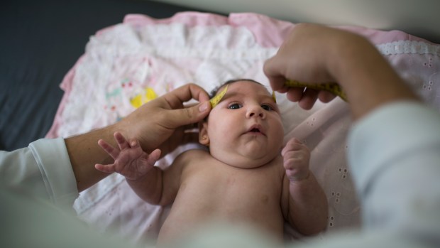 What to Know: Zika Virus Spreads in Americas