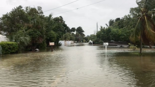 Hurricane Irma: Naples, Florida mayor says city 
