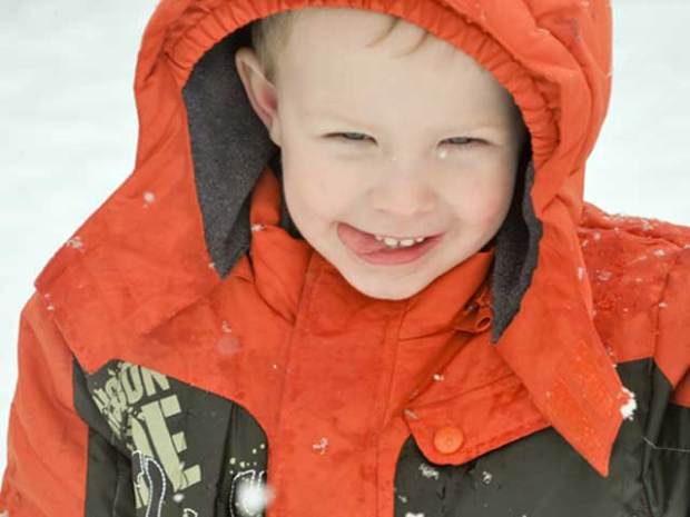 Snow-dorable: Gallery II