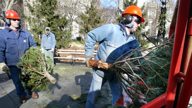 Recycle Your Old Christmas Tree