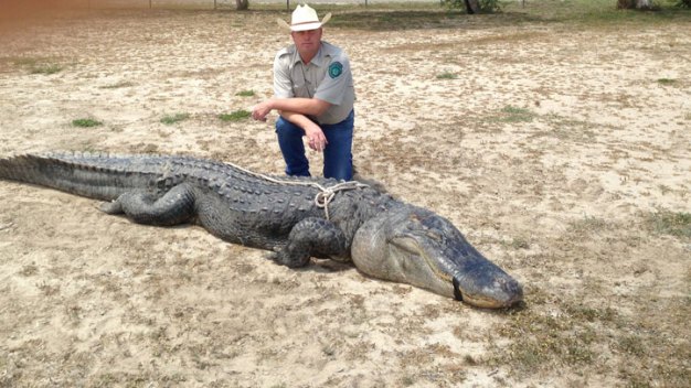 18-Year-Old Texan Bags Biggest Gator On Record in Texas