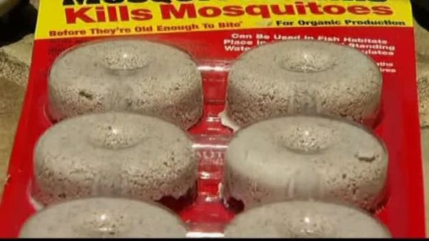 Dallas County Rolls Out West Nile Attack Plan