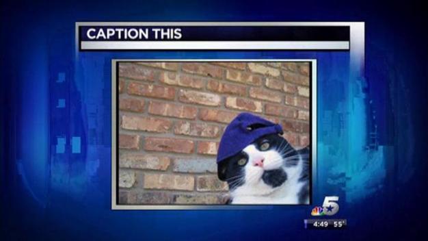 Caption This: 