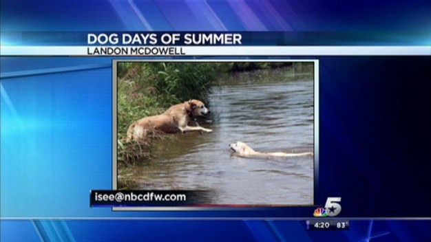 Dog Days of Summer May 22, 2013