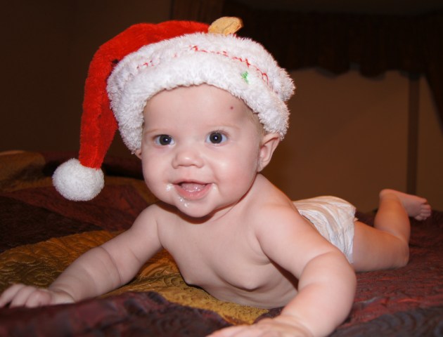 Holiday Photos 2011 - Gallery IX