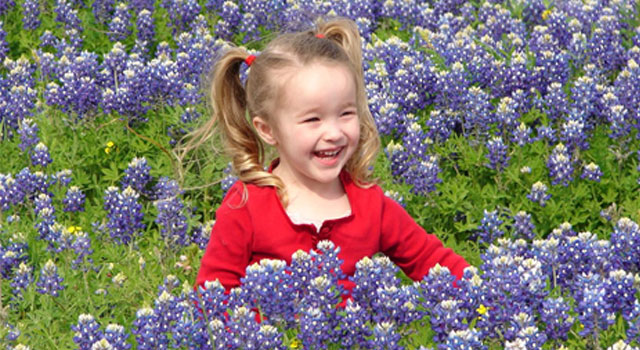 Sitting Pretty: Even More Bluebonnet Viewer Photos