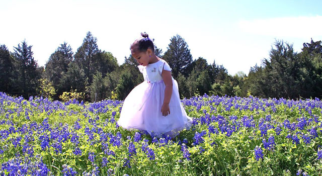 Sitting Pretty: Texas Bluebonnet Viewer Photos
